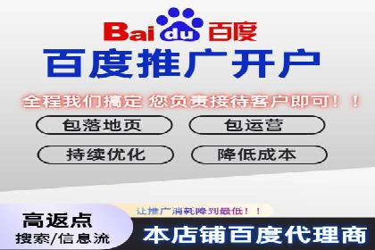 某品牌SEM广告投放的A/B测试与优化