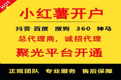 百度平台推广：成功案例解析与效果分析
